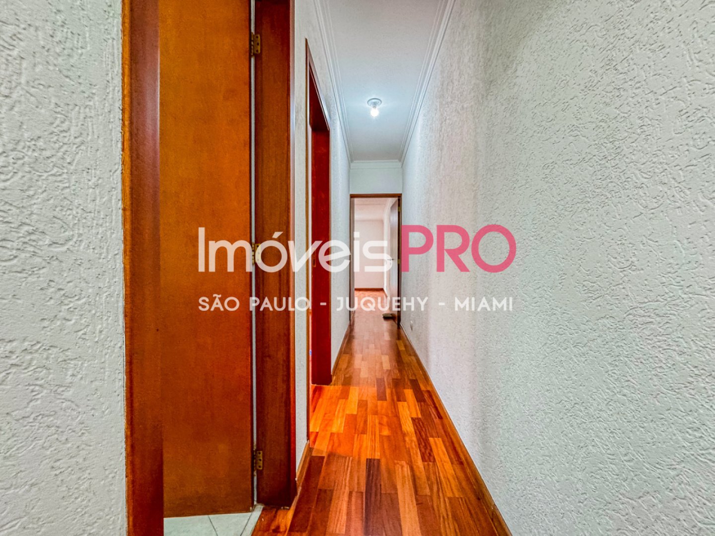 Foto :: IP39511