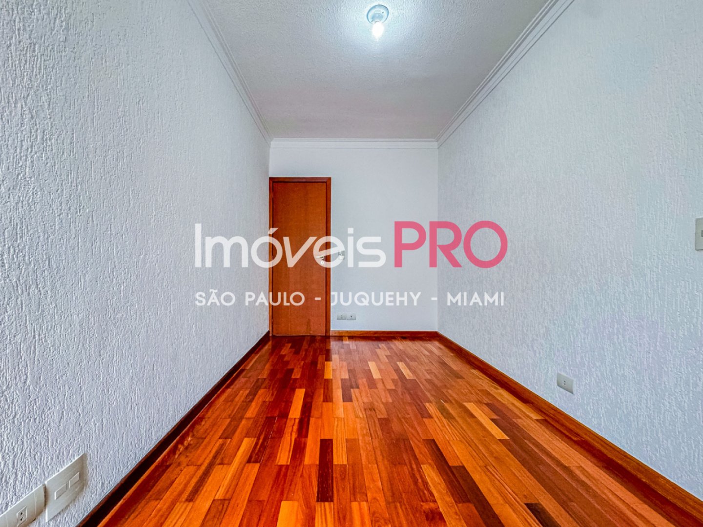 Foto :: IP39511