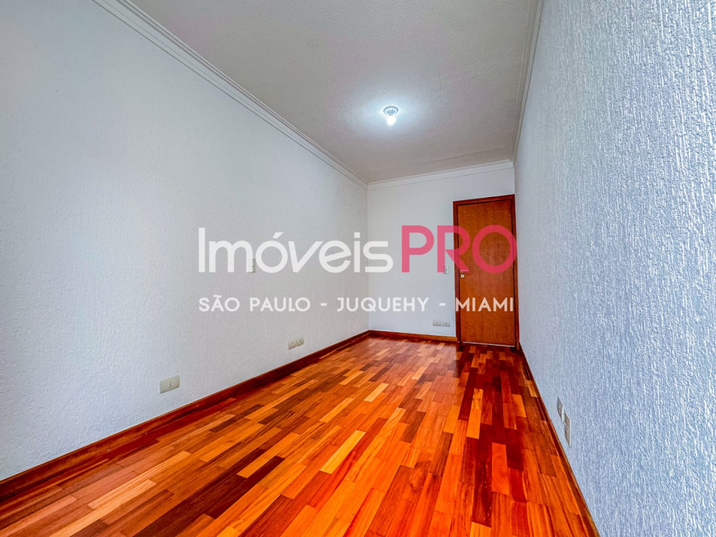 Foto :: IP39511