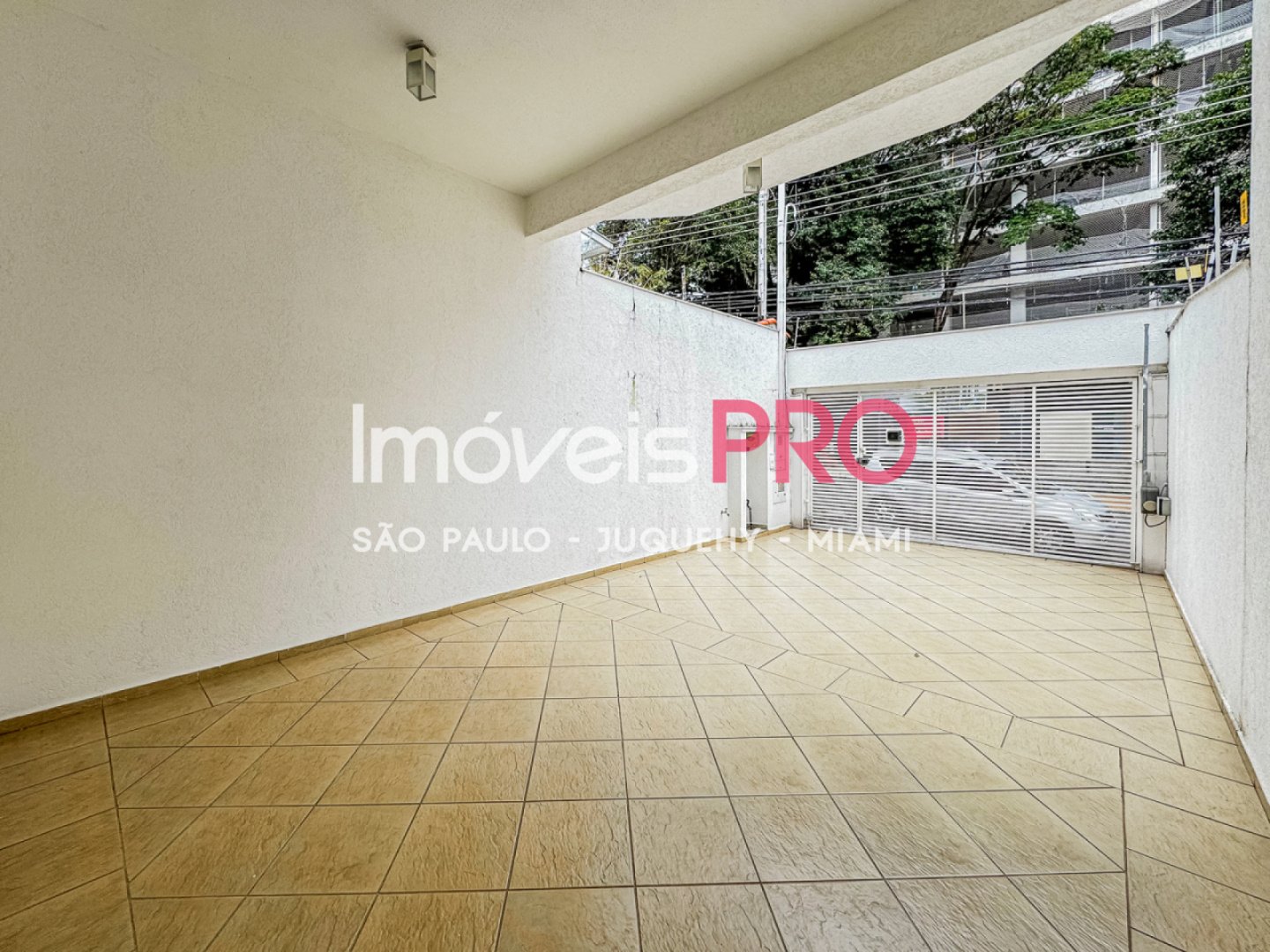 Foto :: IP39511