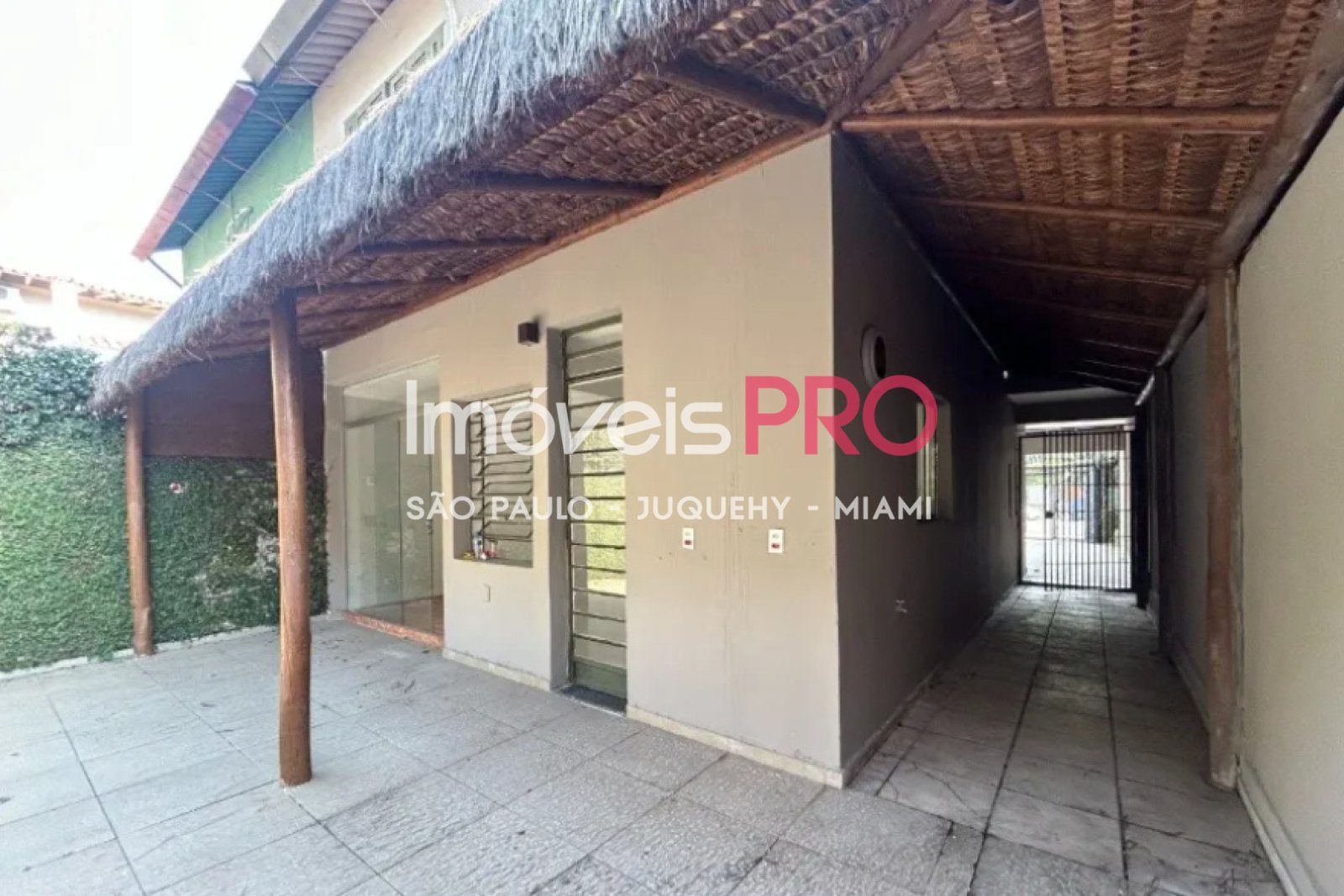 Foto :: IP39514