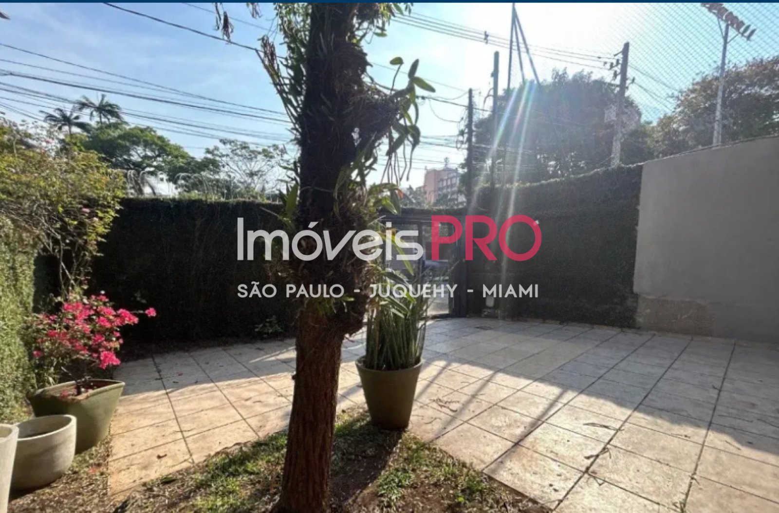 Foto :: IP39514