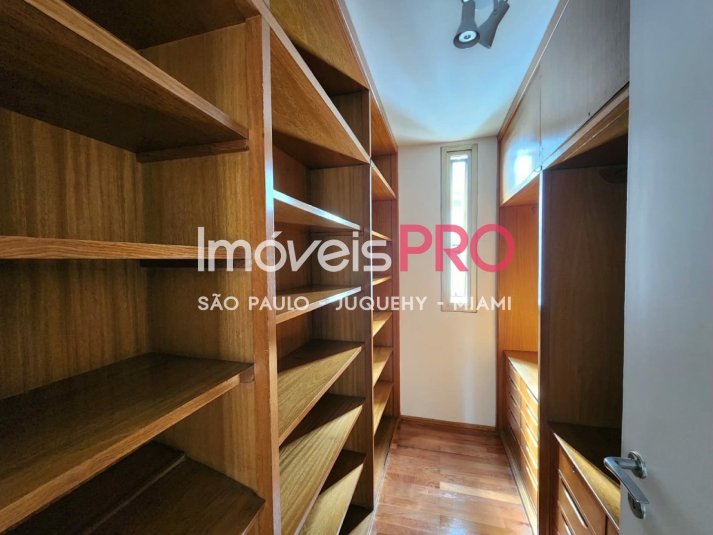 Foto :: IP39516