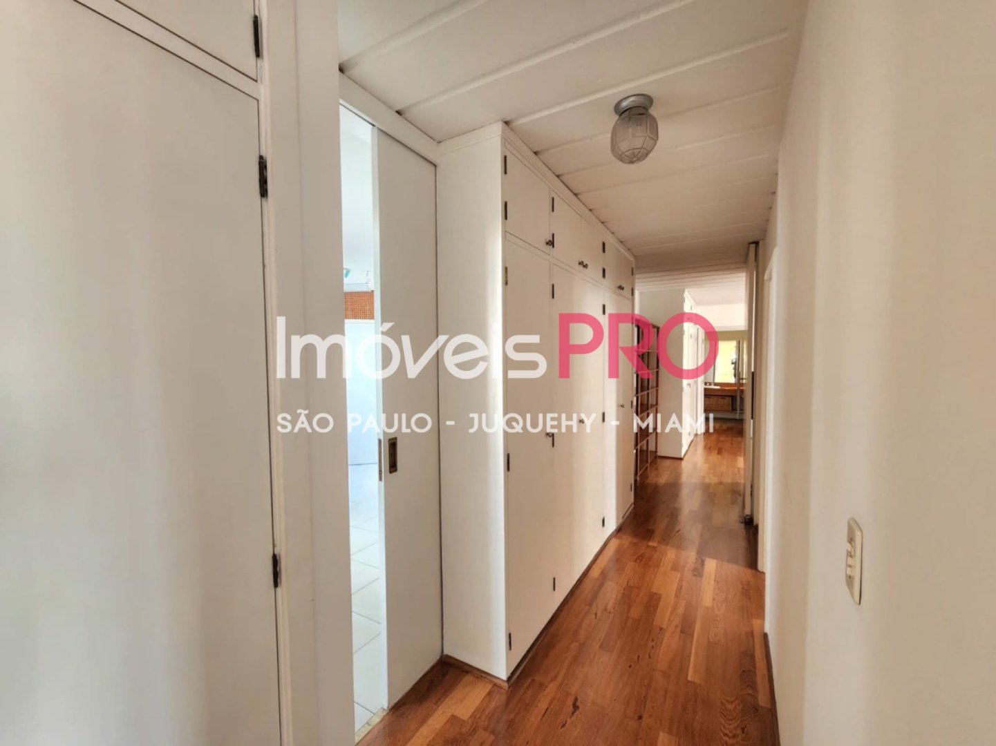 Foto :: IP39516