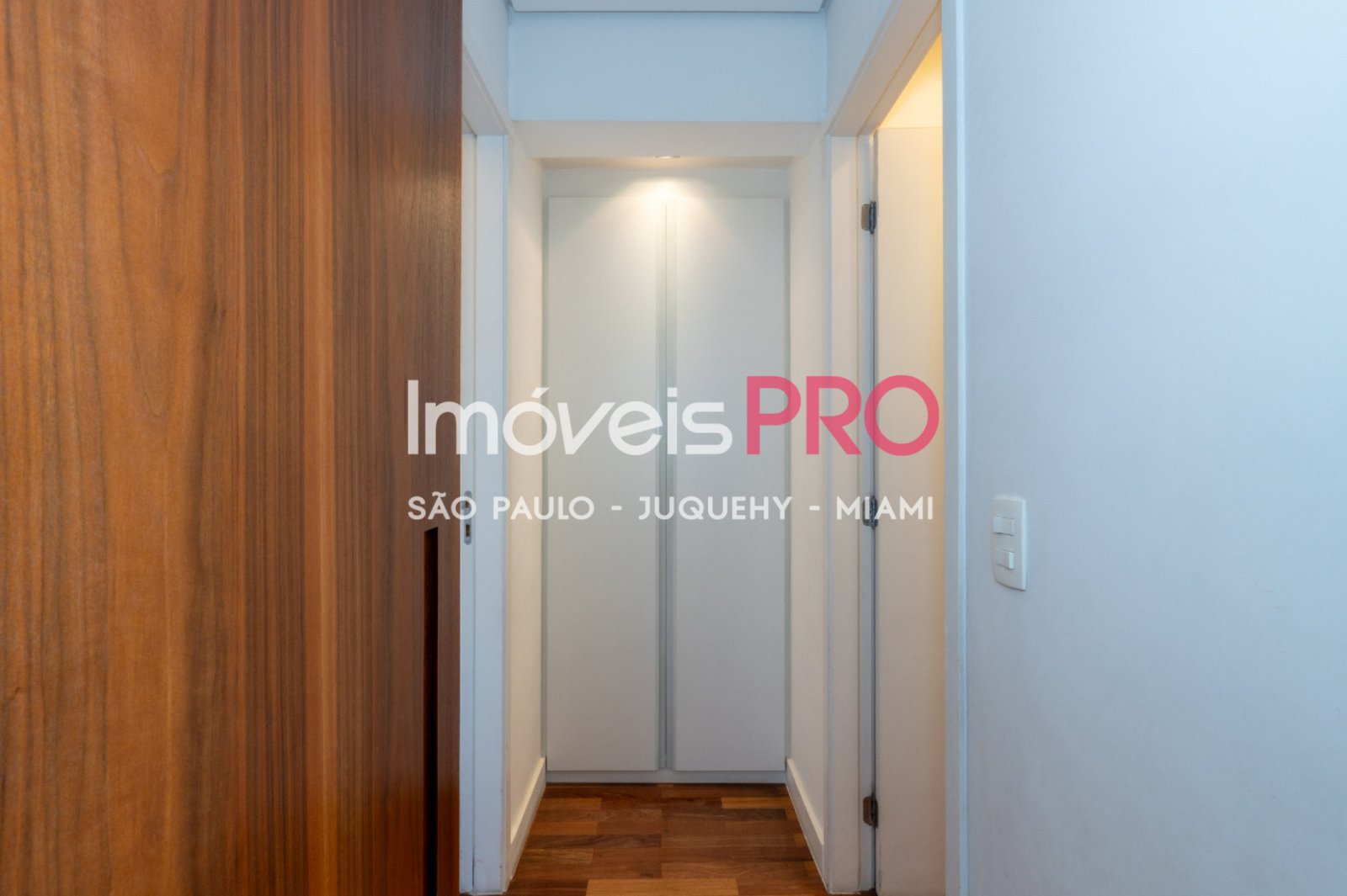 Foto :: IP39518