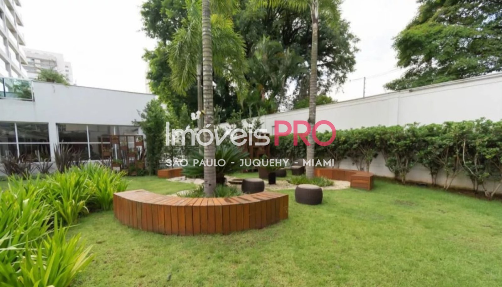 Foto :: IP39524