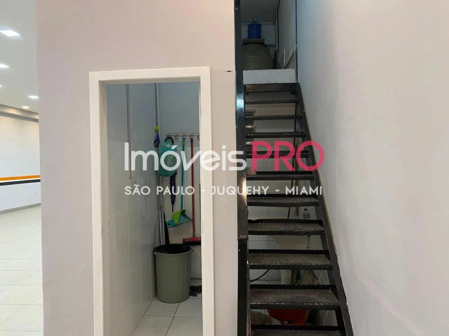 Foto :: IP39533