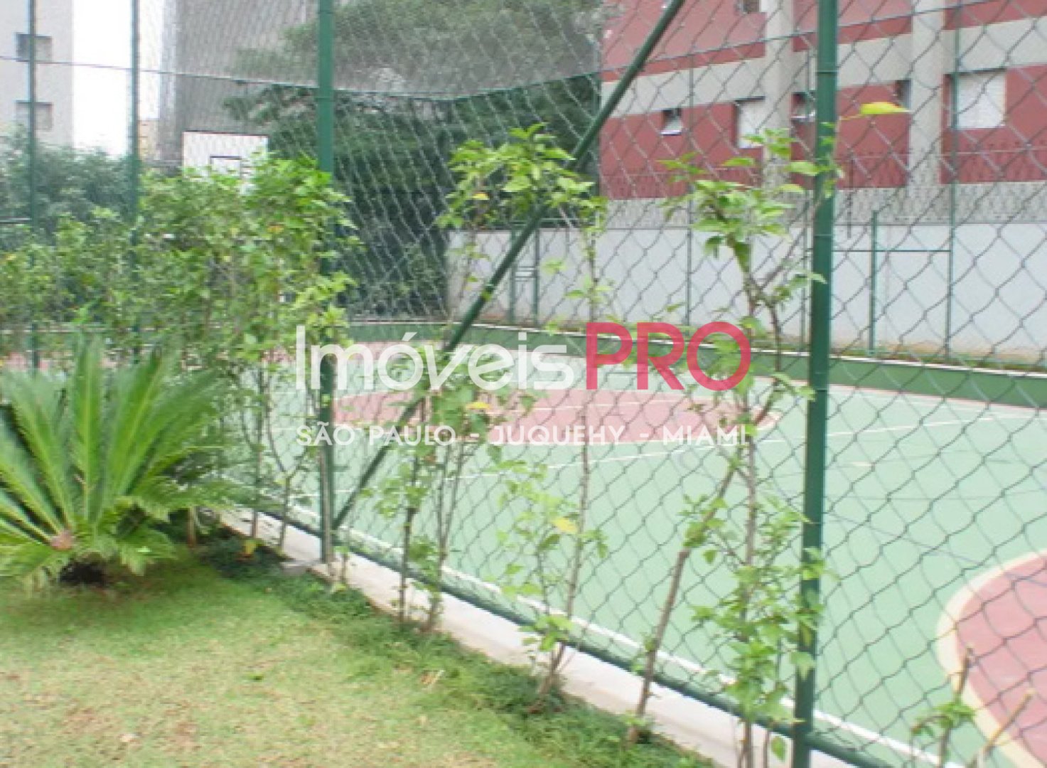 Foto :: IP39535
