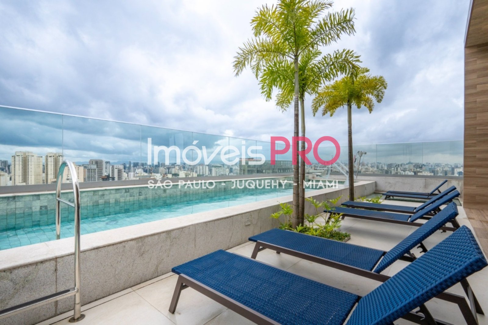 Foto :: IP39538