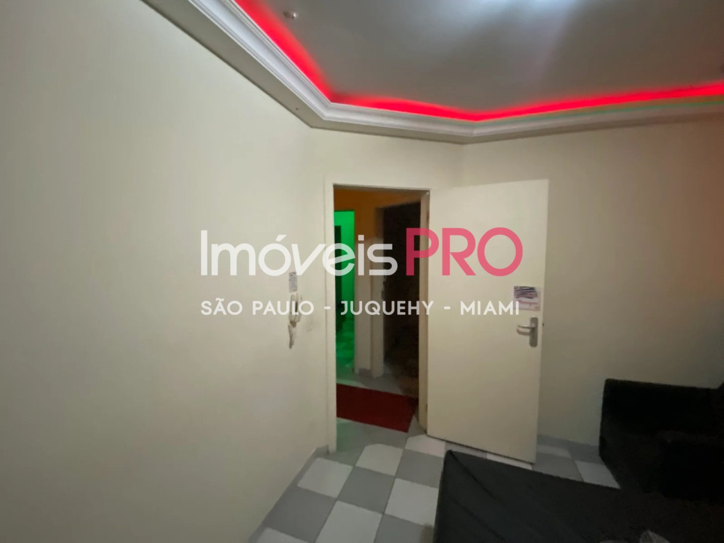Foto :: IP39545