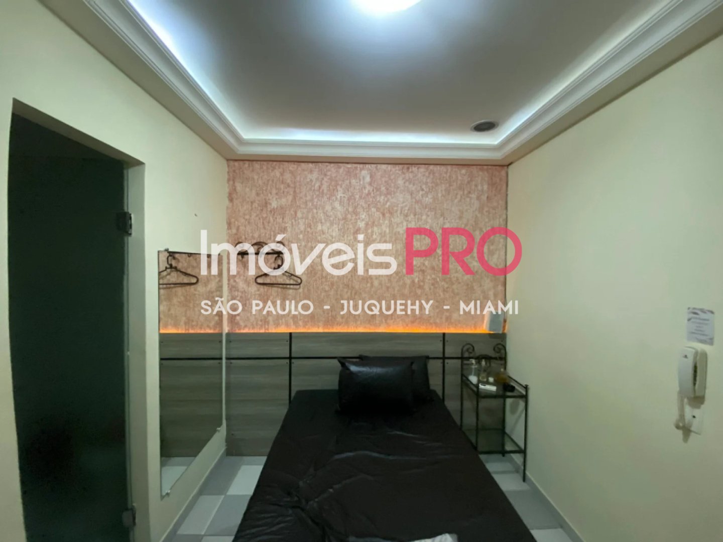 Foto :: IP39545