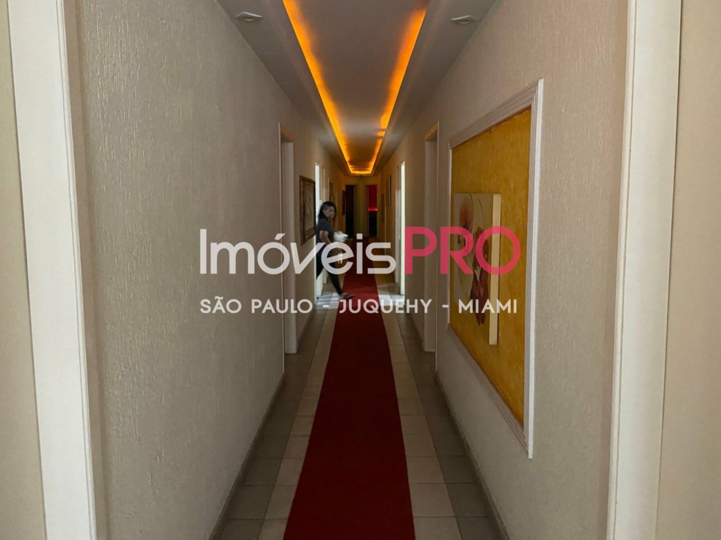 Foto :: IP39545