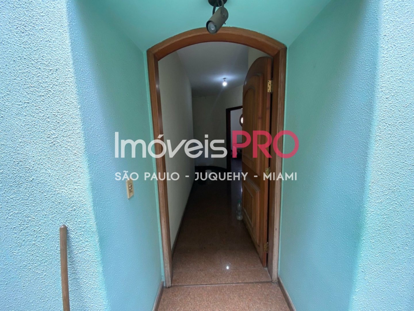 Foto :: IP39545