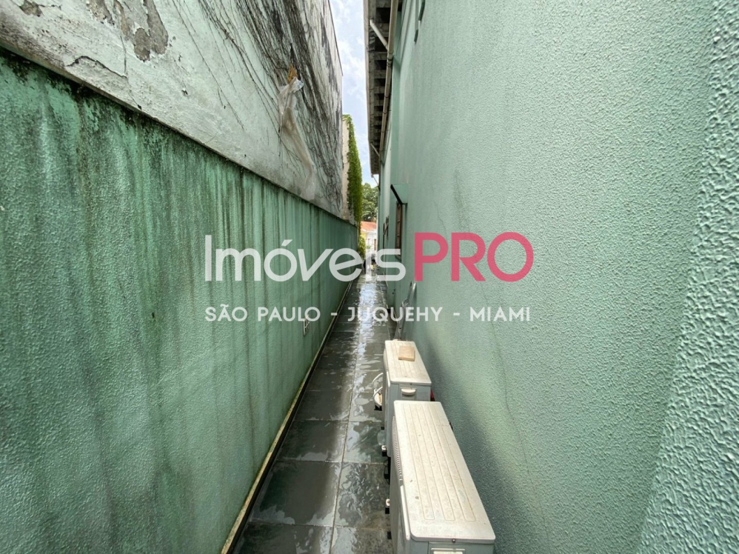 Foto :: IP39545