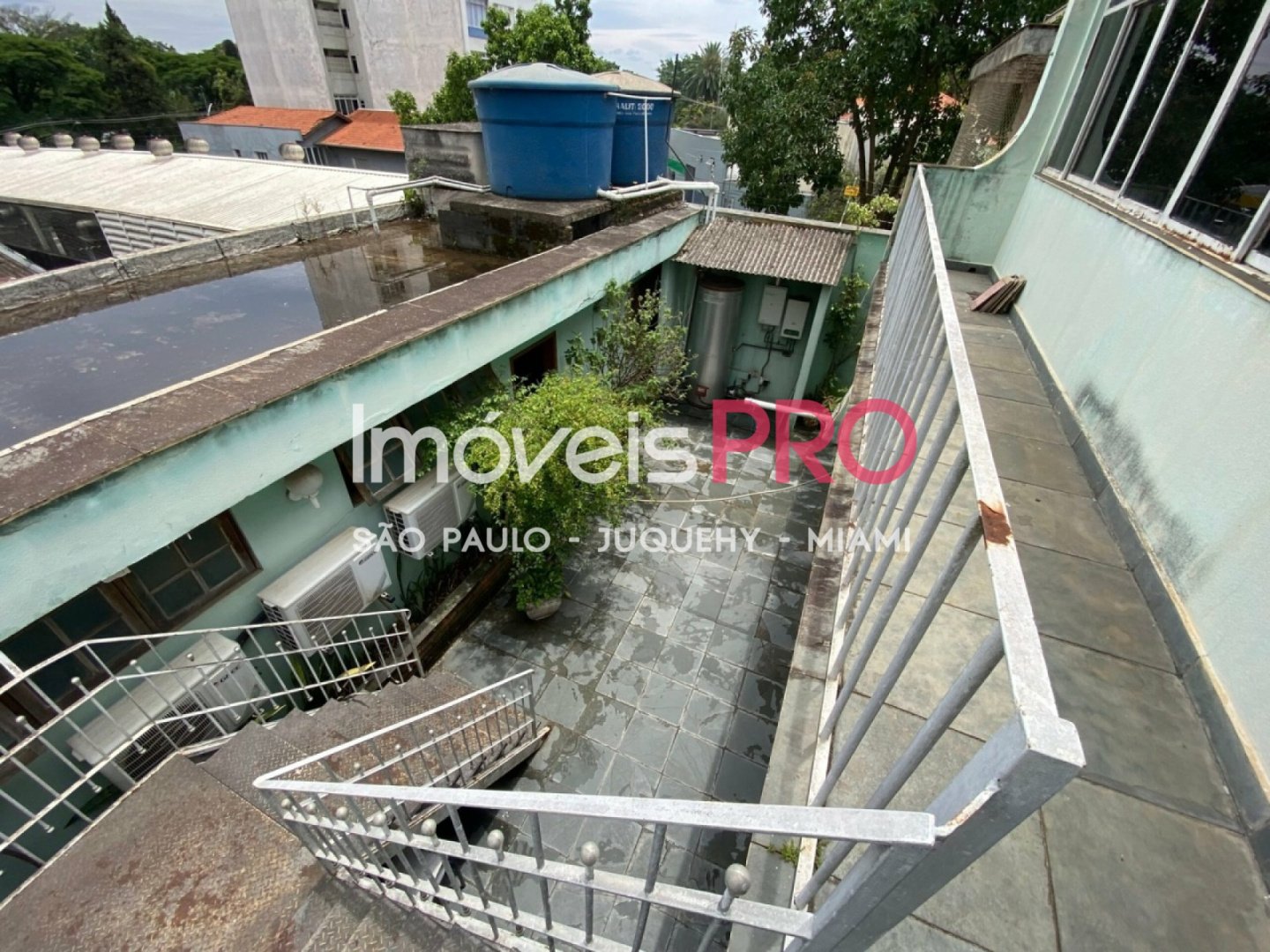 Foto :: IP39545
