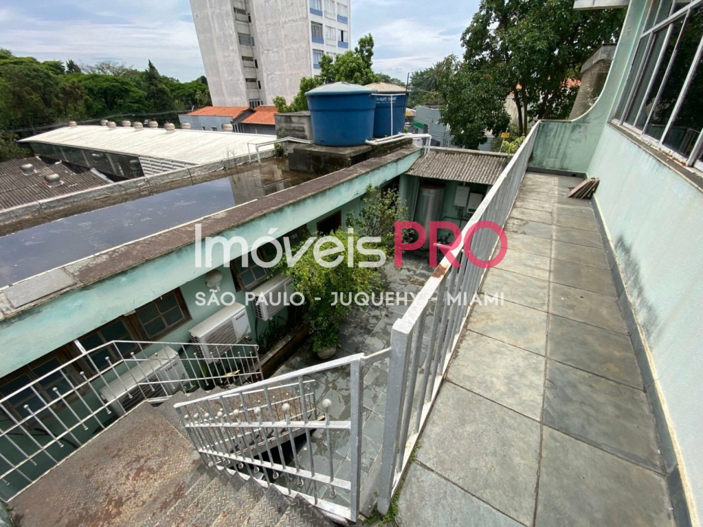 Foto :: IP39545