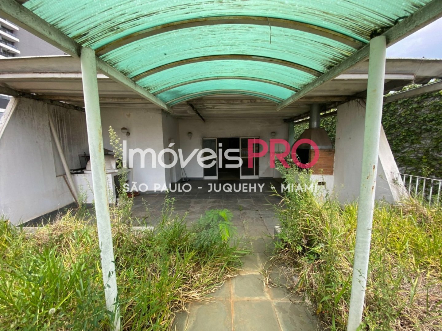Foto :: IP39545