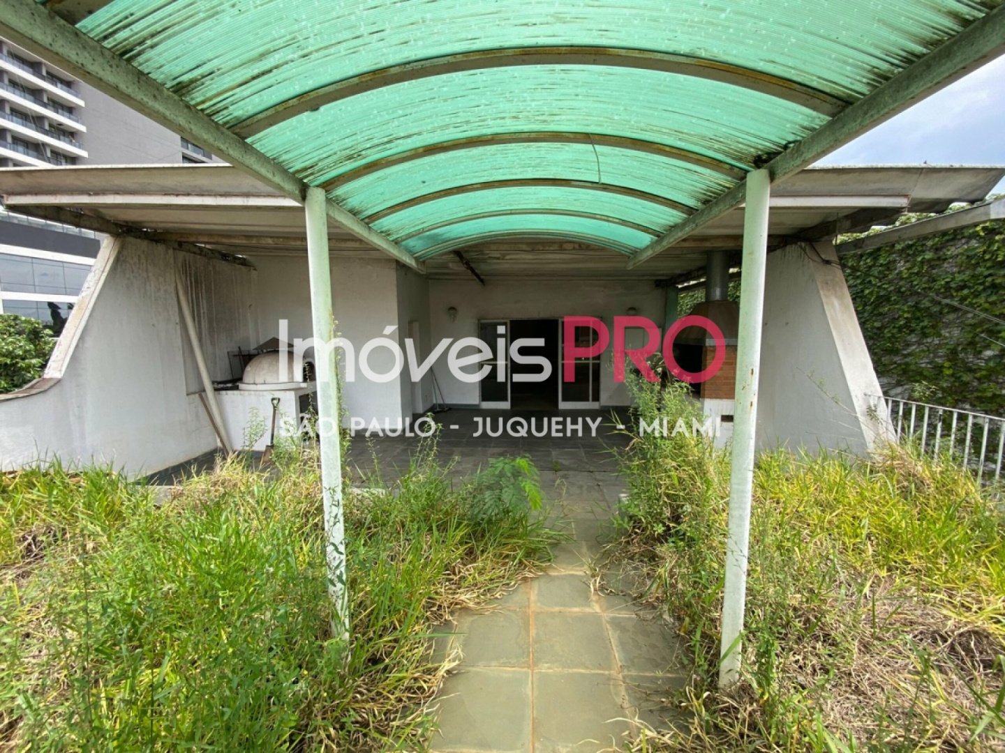 Foto :: IP39545