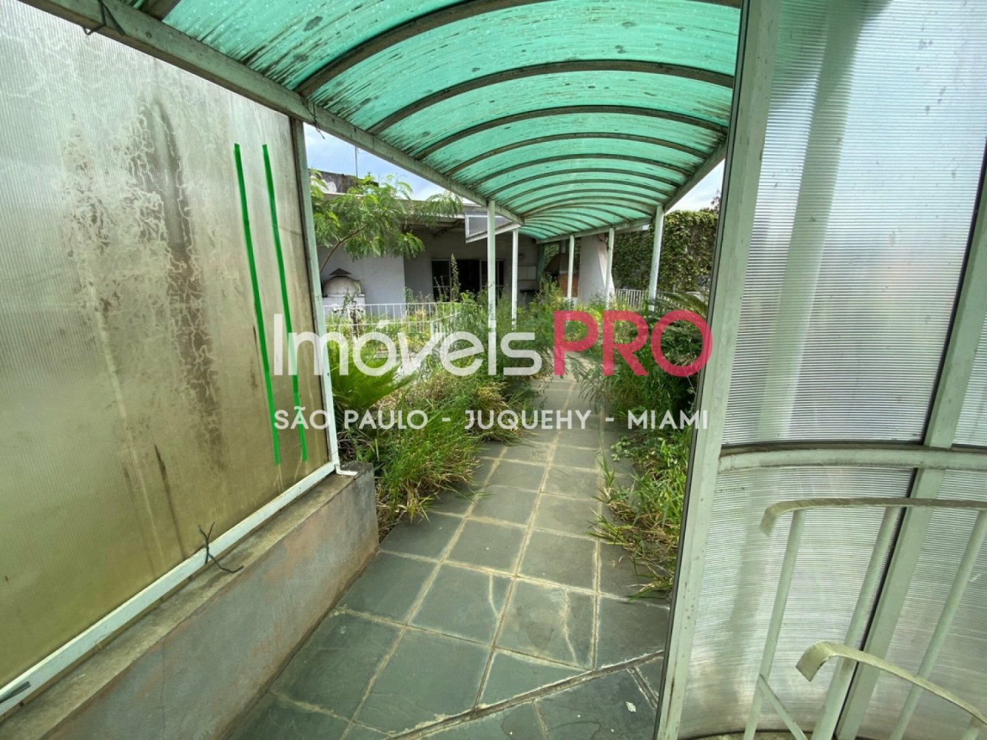 Foto :: IP39545