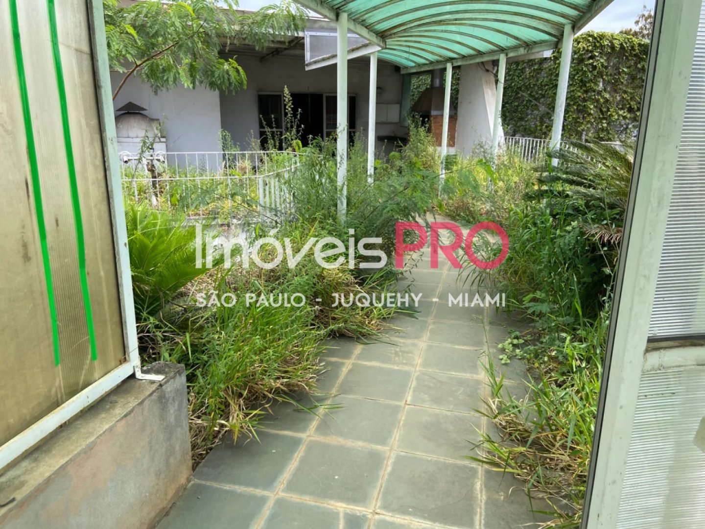 Foto :: IP39545