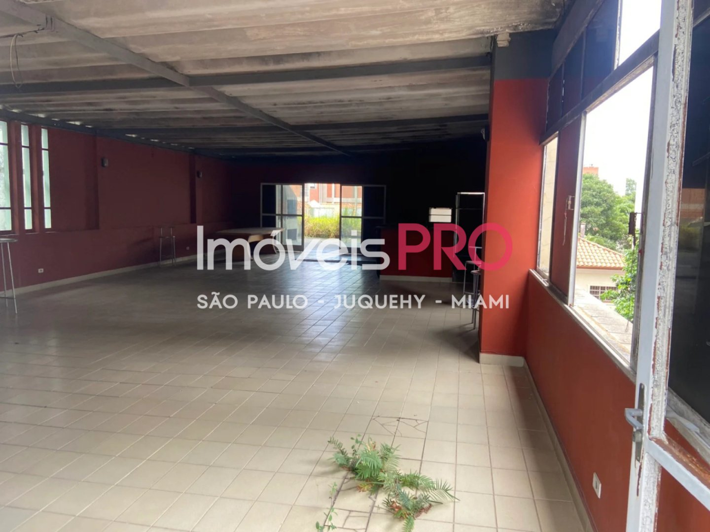 Foto :: IP39545