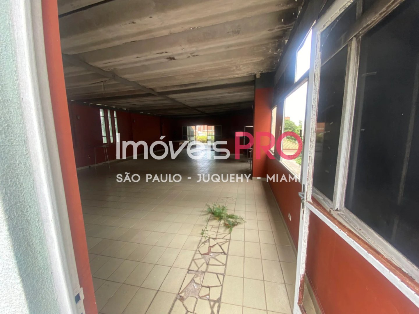 Foto :: IP39545