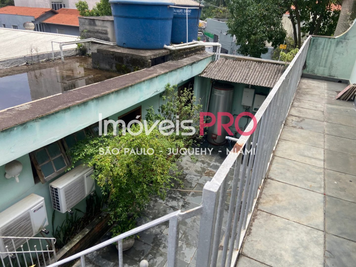 Foto :: IP39545