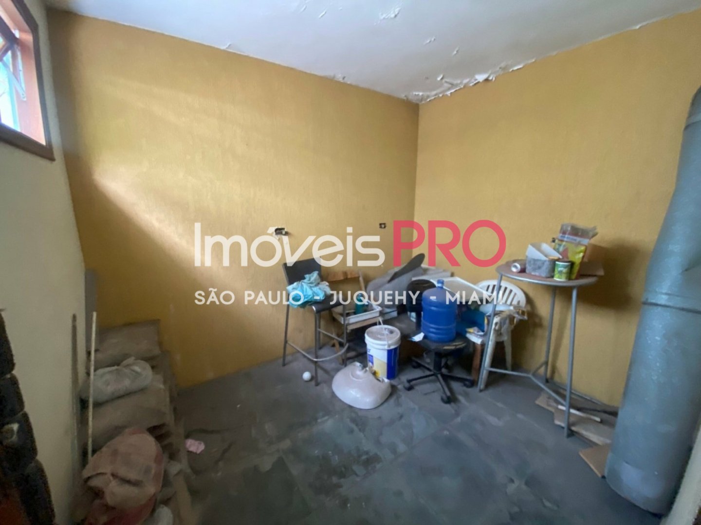 Foto :: IP39545