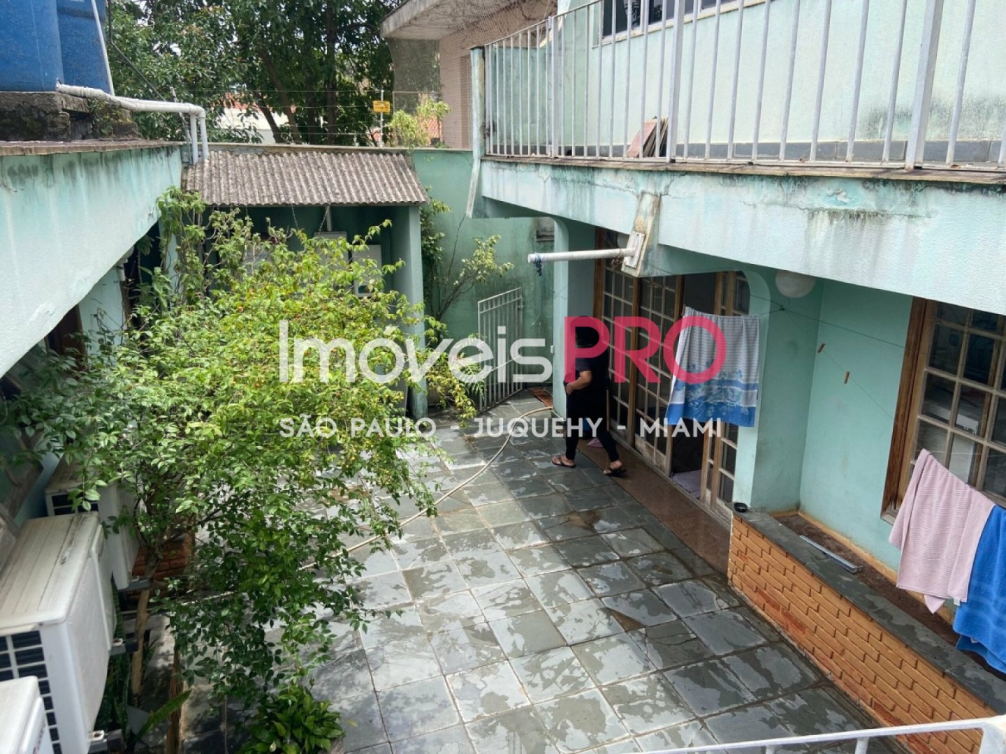 Foto :: IP39545