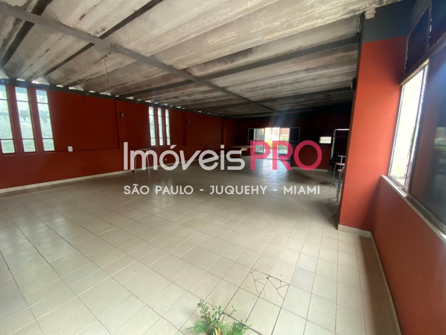 Foto :: IP39545