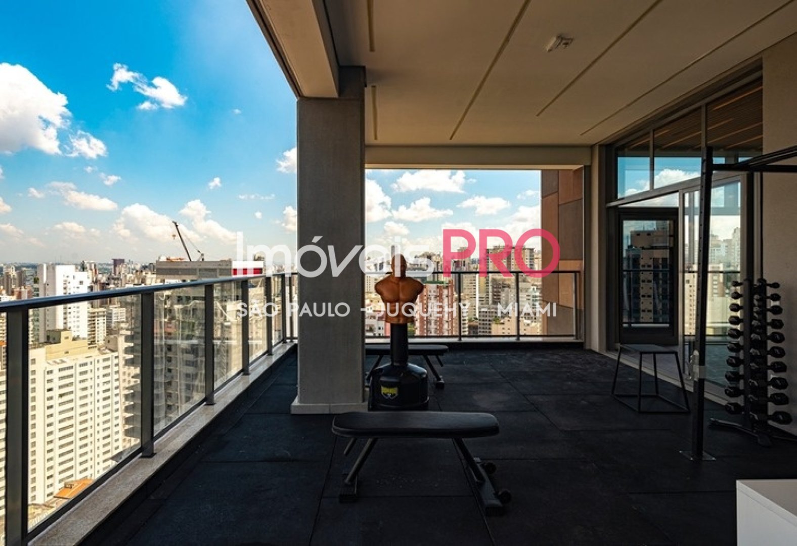 Foto :: IP39550