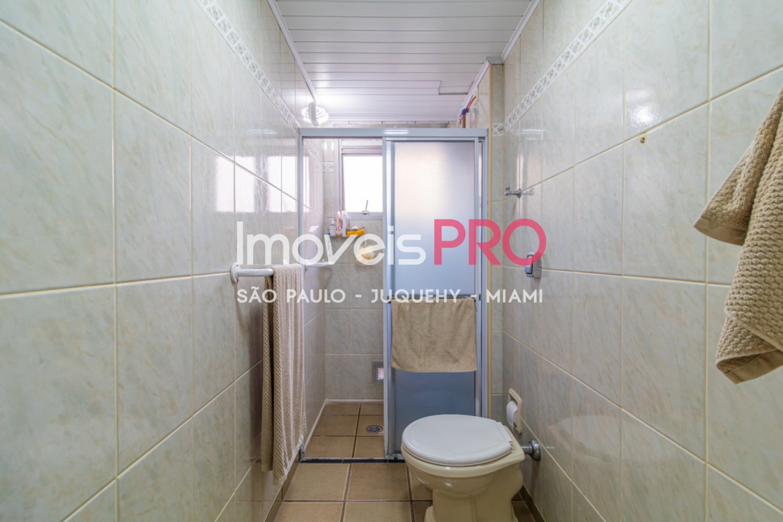 Foto :: IP39554