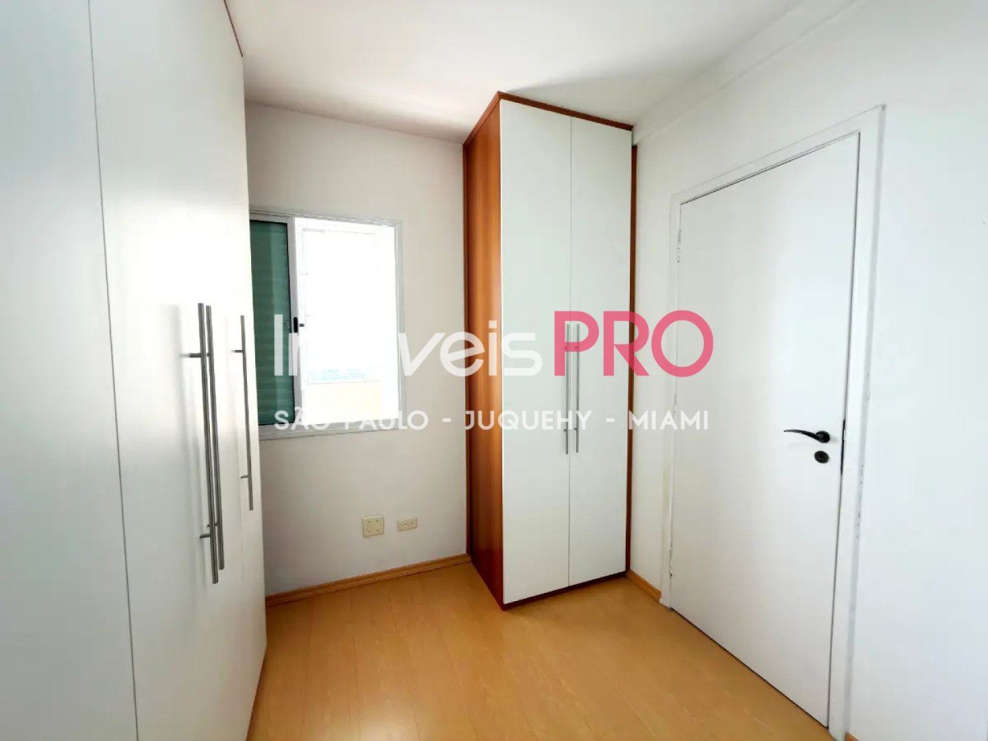 Foto :: IP39558