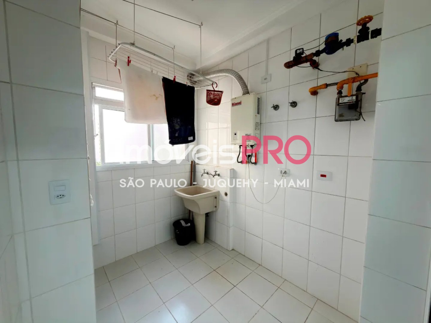 Foto :: IP39558