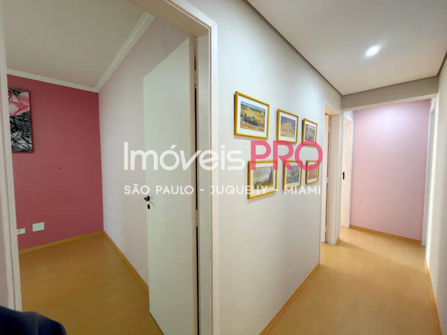 Foto :: IP39558