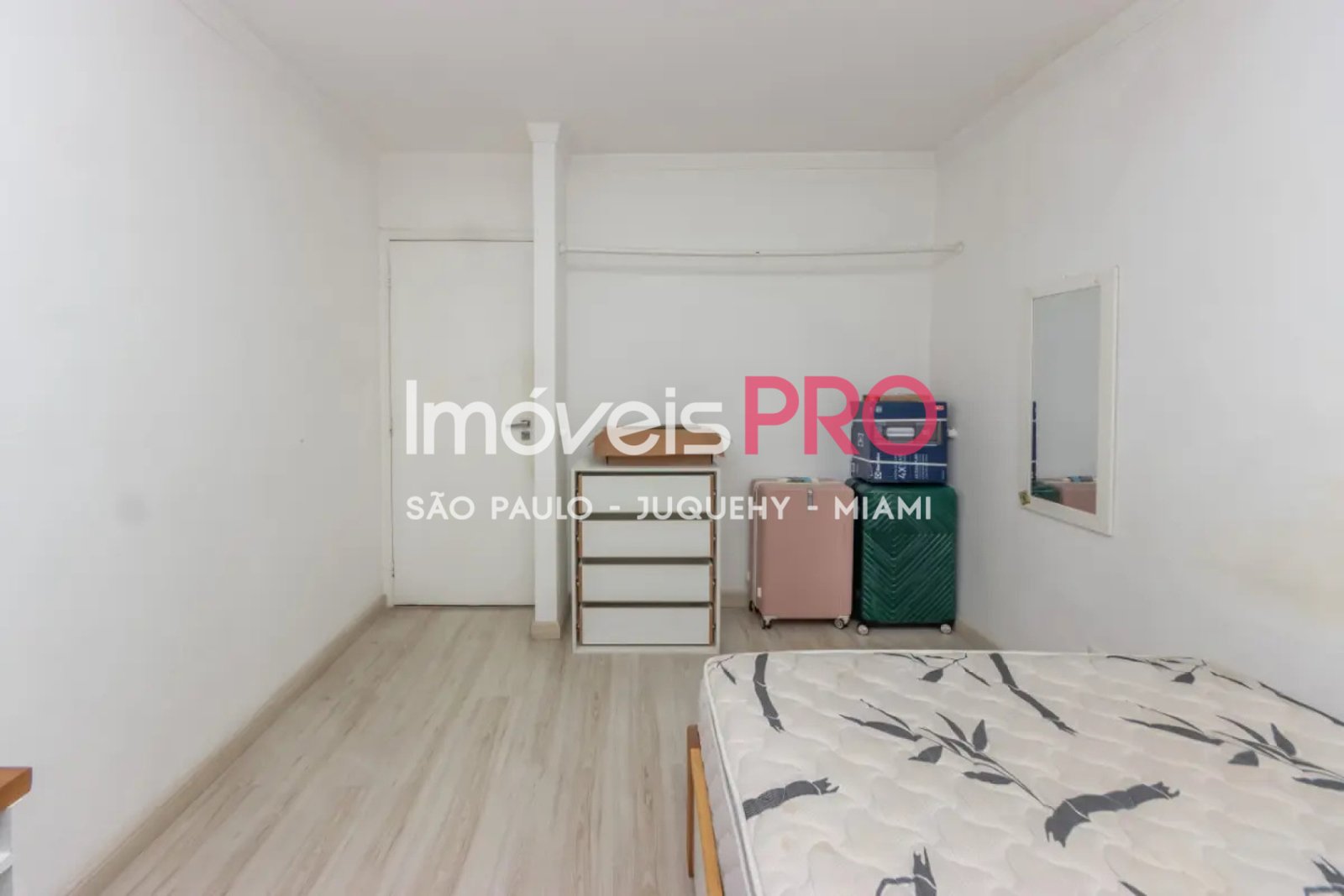 Foto :: IP39559