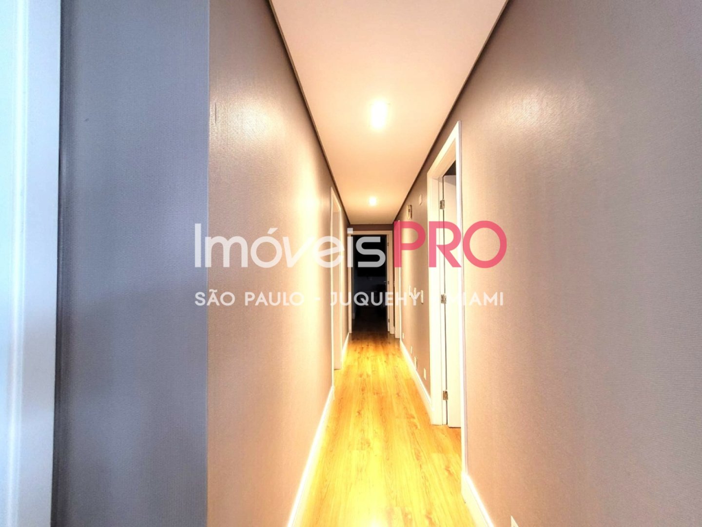 Foto :: IP39561