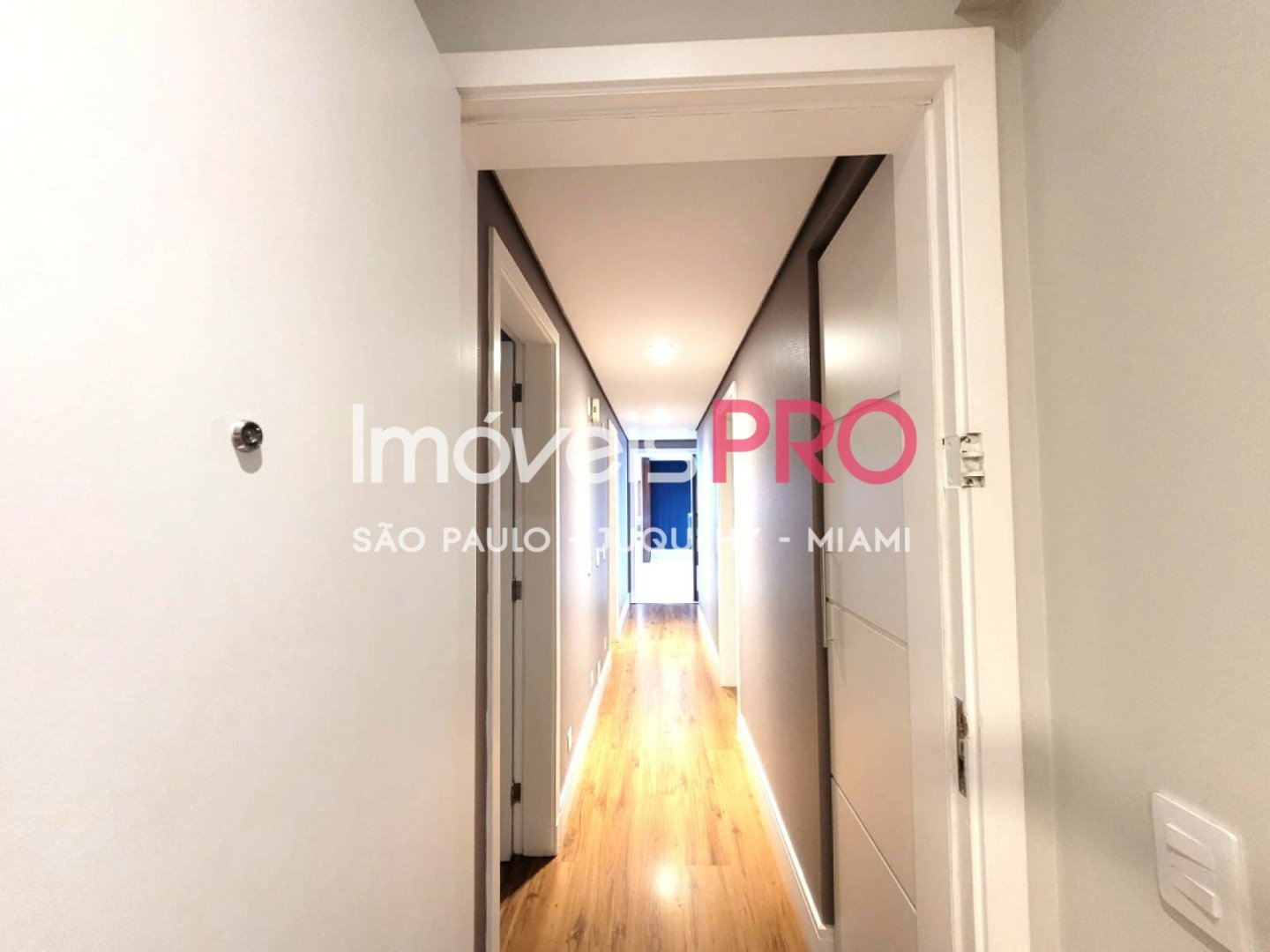 Foto :: IP39561