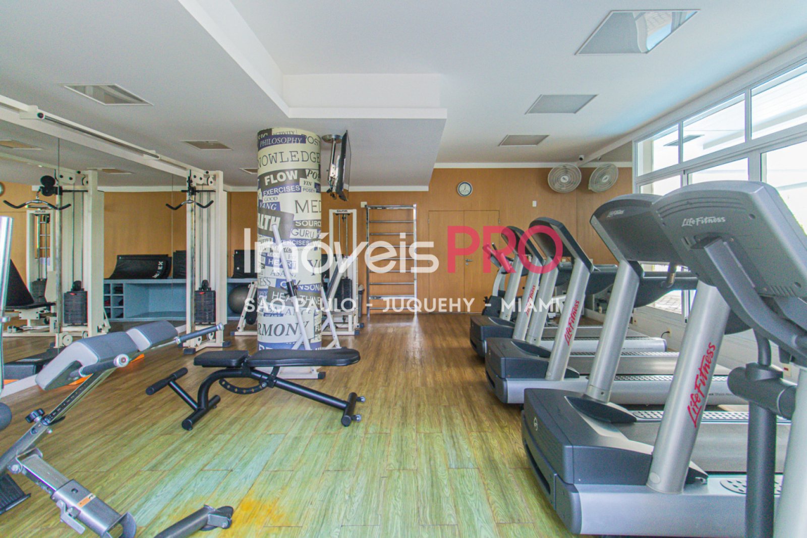 Foto :: IP39561