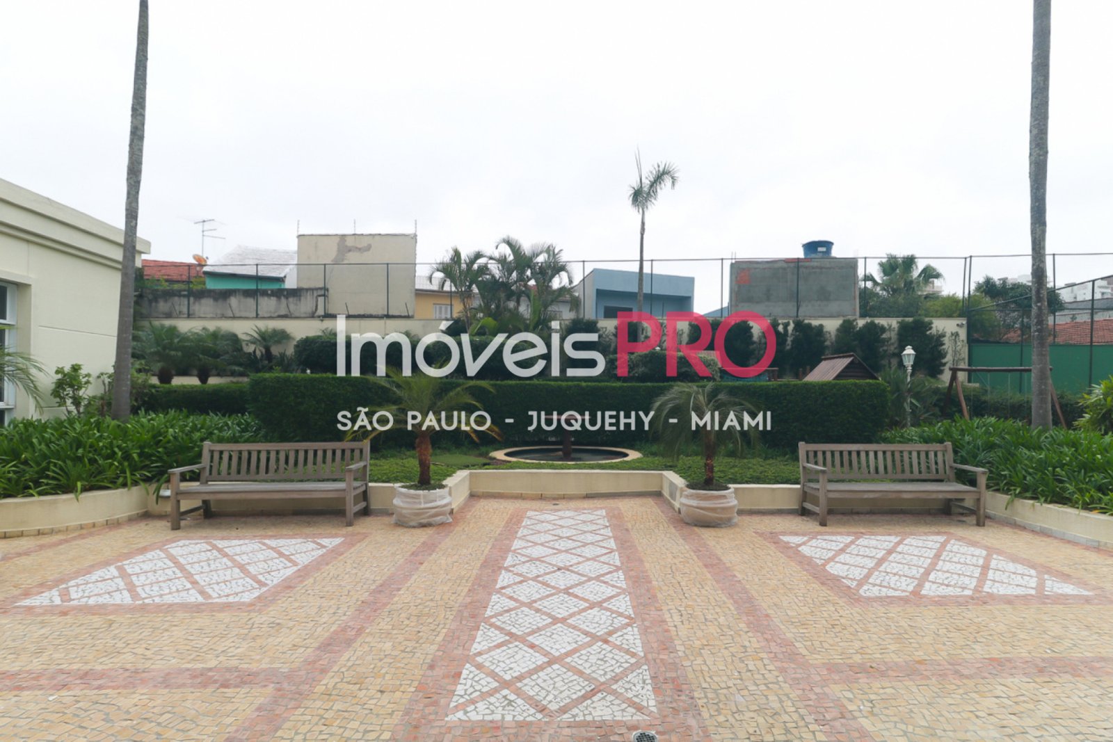 Foto :: IP39561