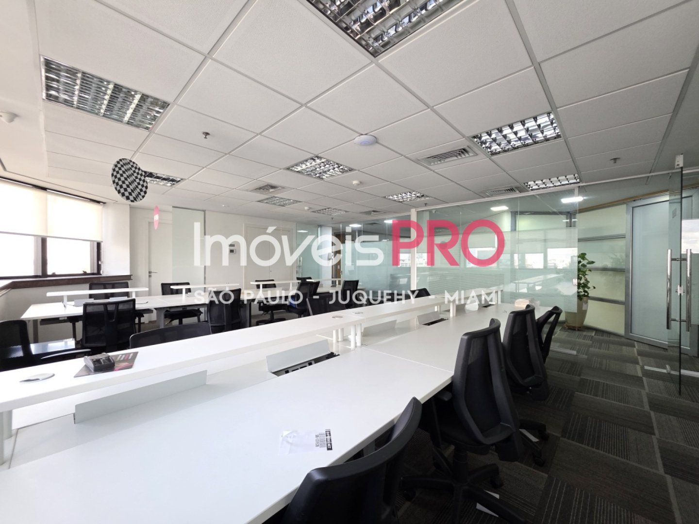 Foto :: IP39566