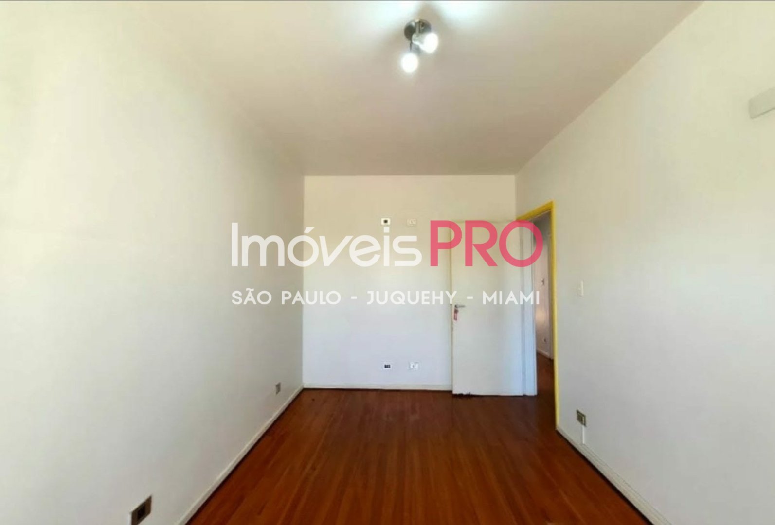 Foto :: IP39569