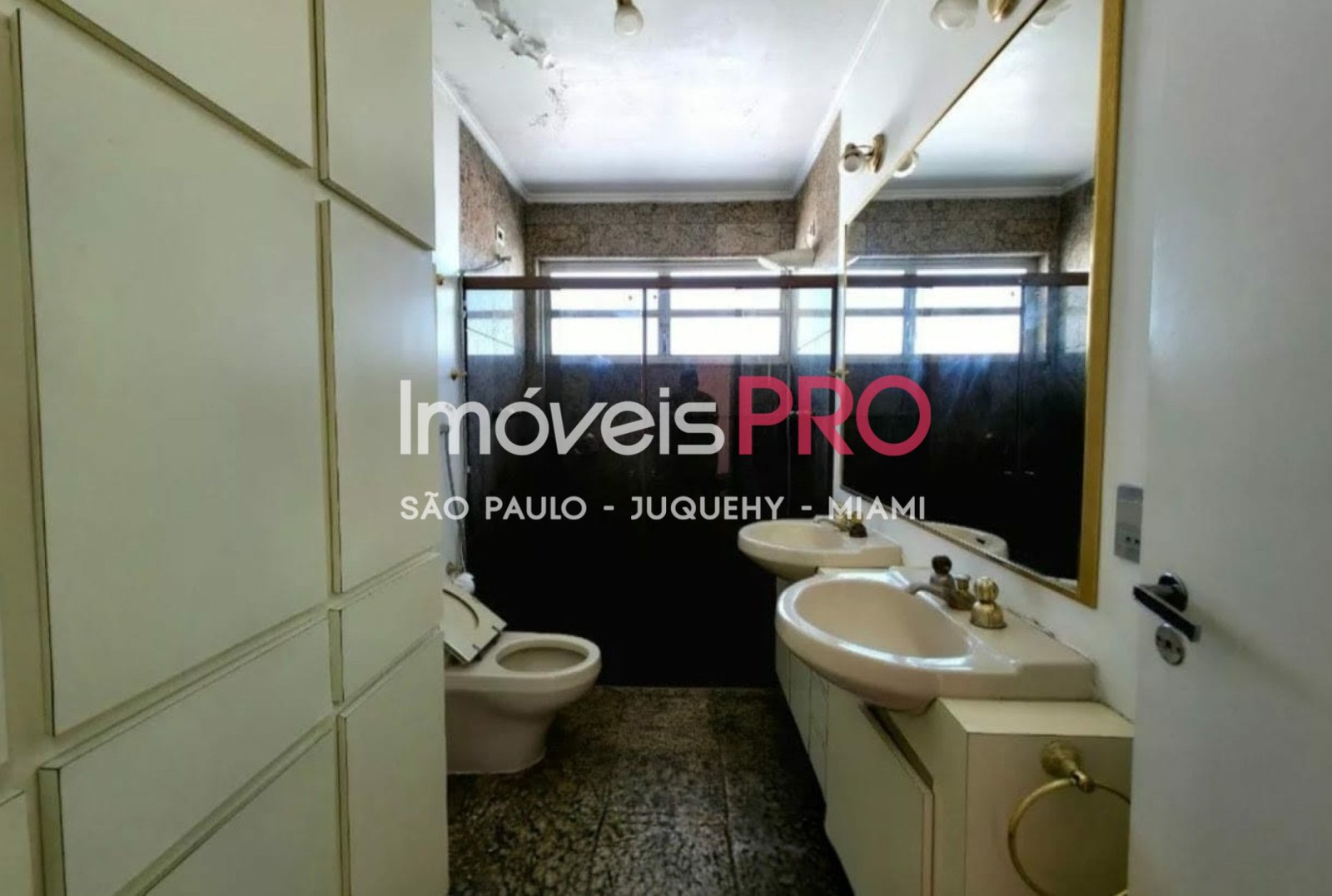 Foto :: IP39569