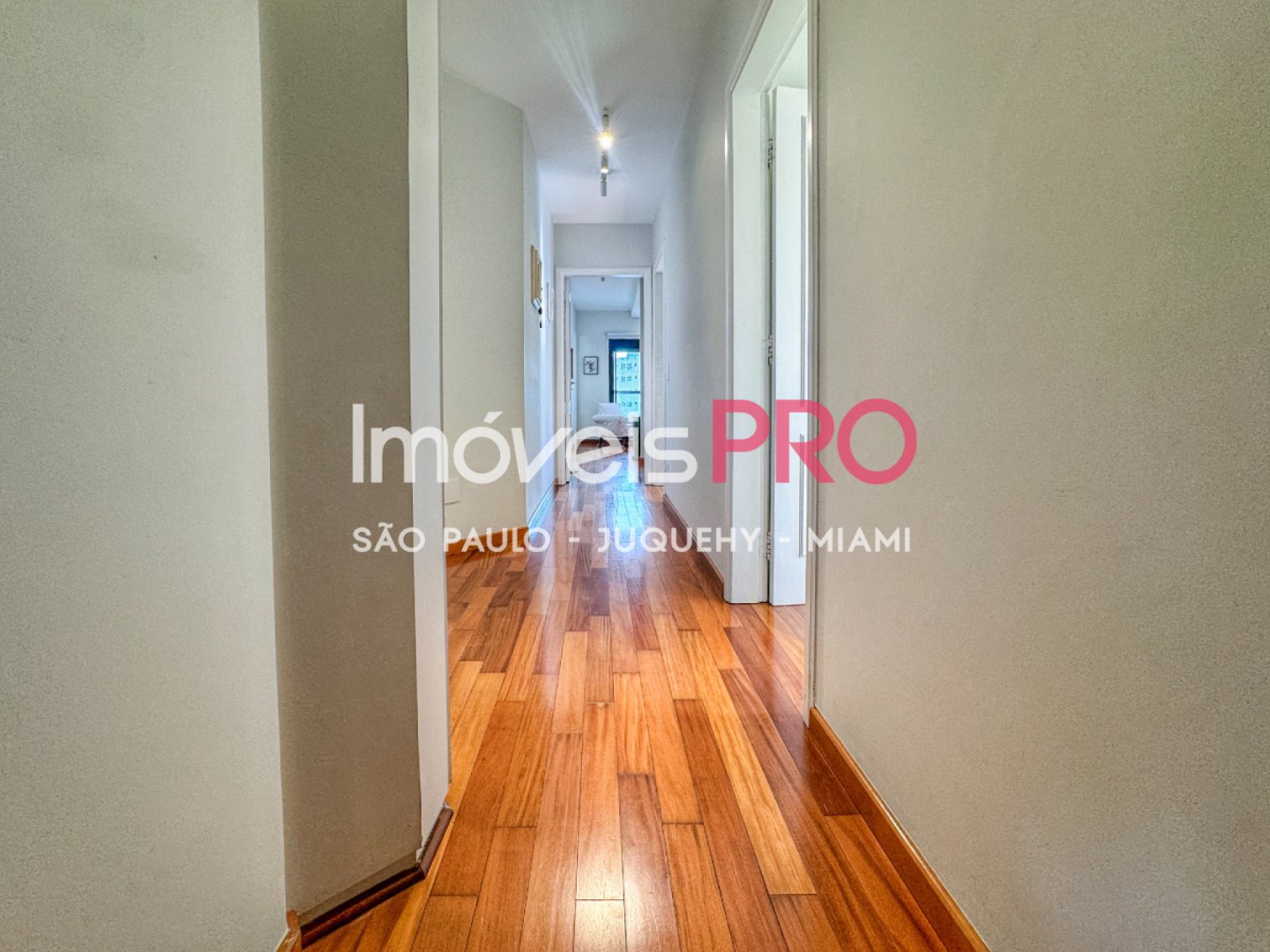 Foto :: IP39576