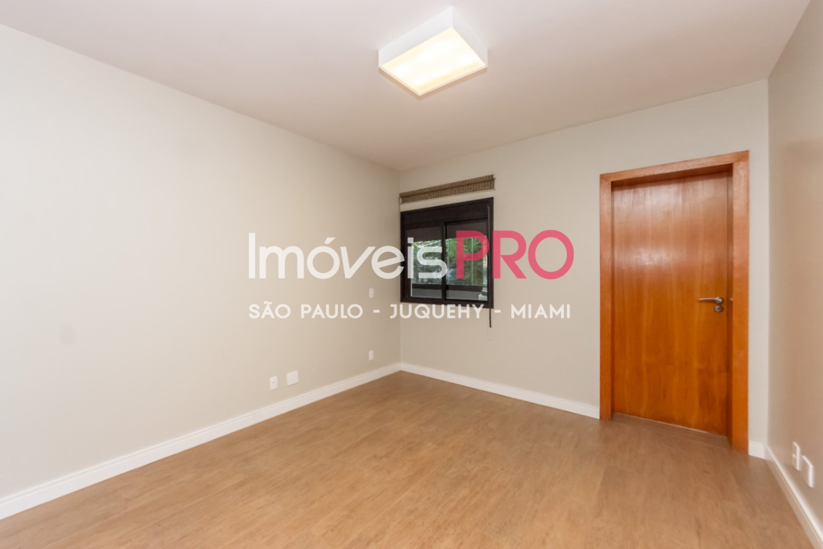 Foto :: IP39577