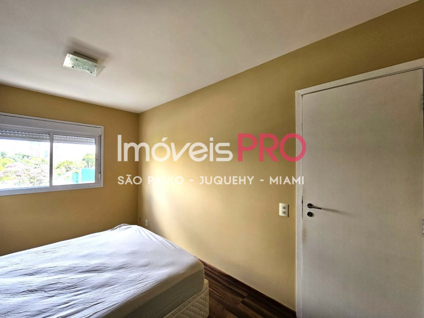 Foto :: IP39579