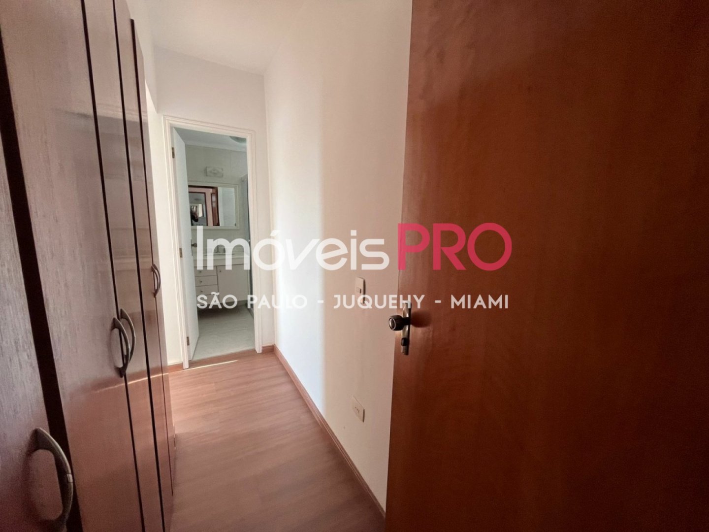 Foto :: IP39580