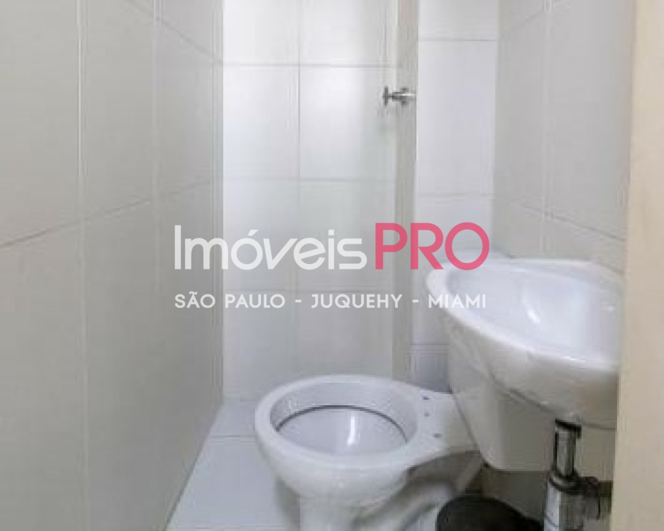 Foto :: IP39598