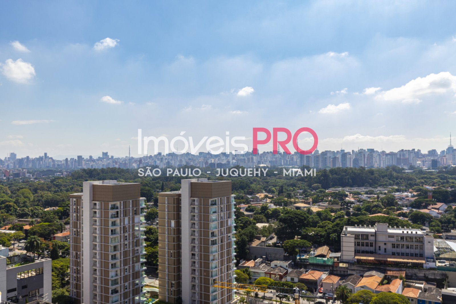 Foto :: IP39601