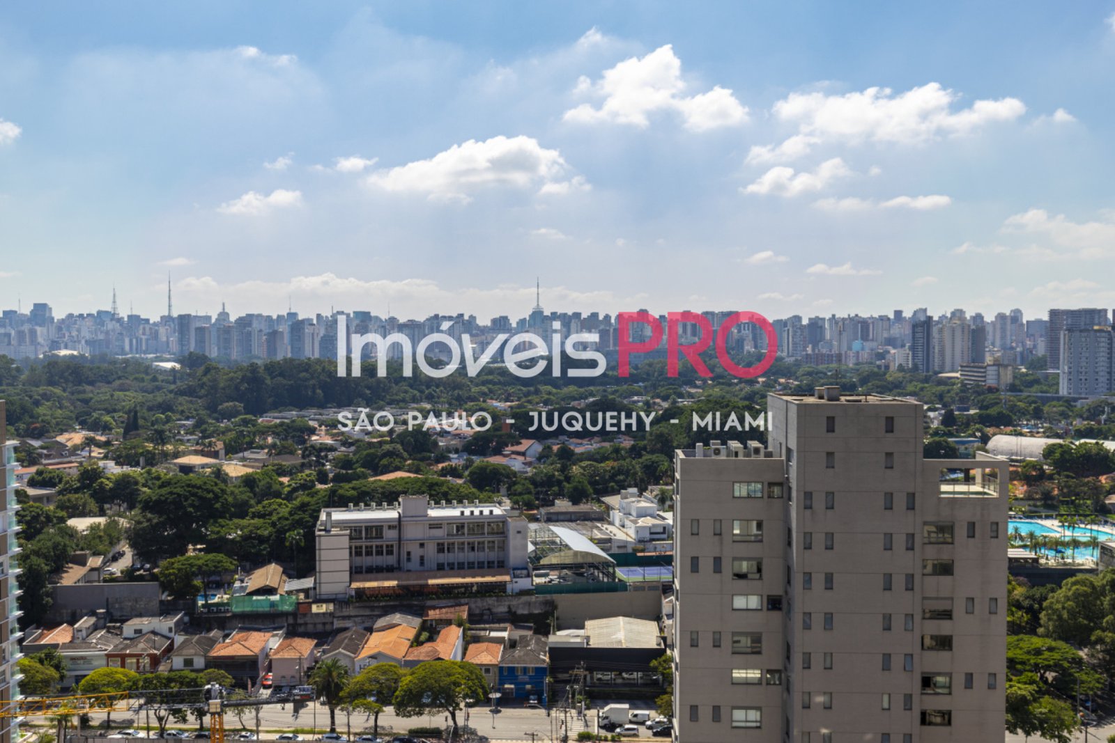 Foto :: IP39601
